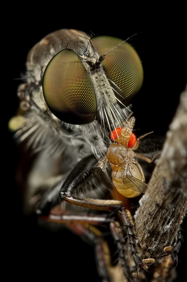Size Doesn't Matter by Danniel Partogi Tambunan