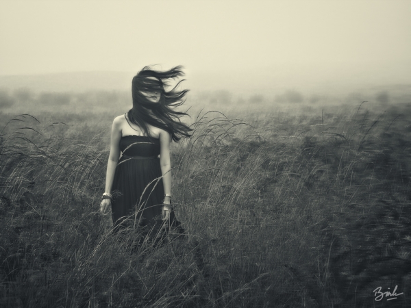gone with the wind by Bintoro Bink