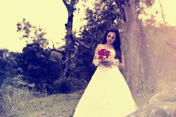 waiting for the groom by dhani dharmawan