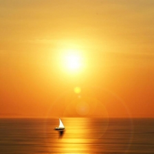 orange by Muhamad Anshorullah