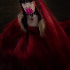 Mawar Merah by Bocah Bocor