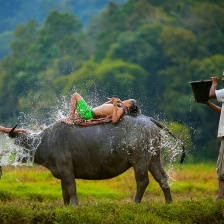 ???? by Heri Budianto