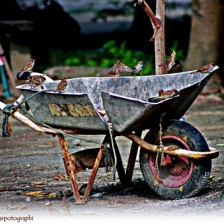 usang by ahmad albar