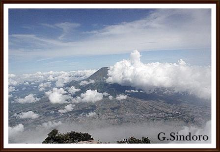 Gunung Sindoro - JawaTengah by willy kresna maulana